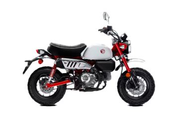Model Image
